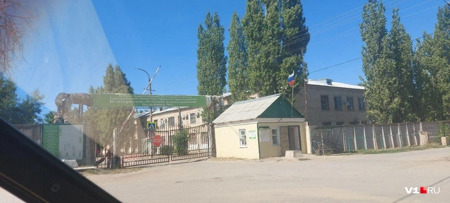 Сбежавших пациентов задержали в этот же день | Источник: читатели V1.RU
