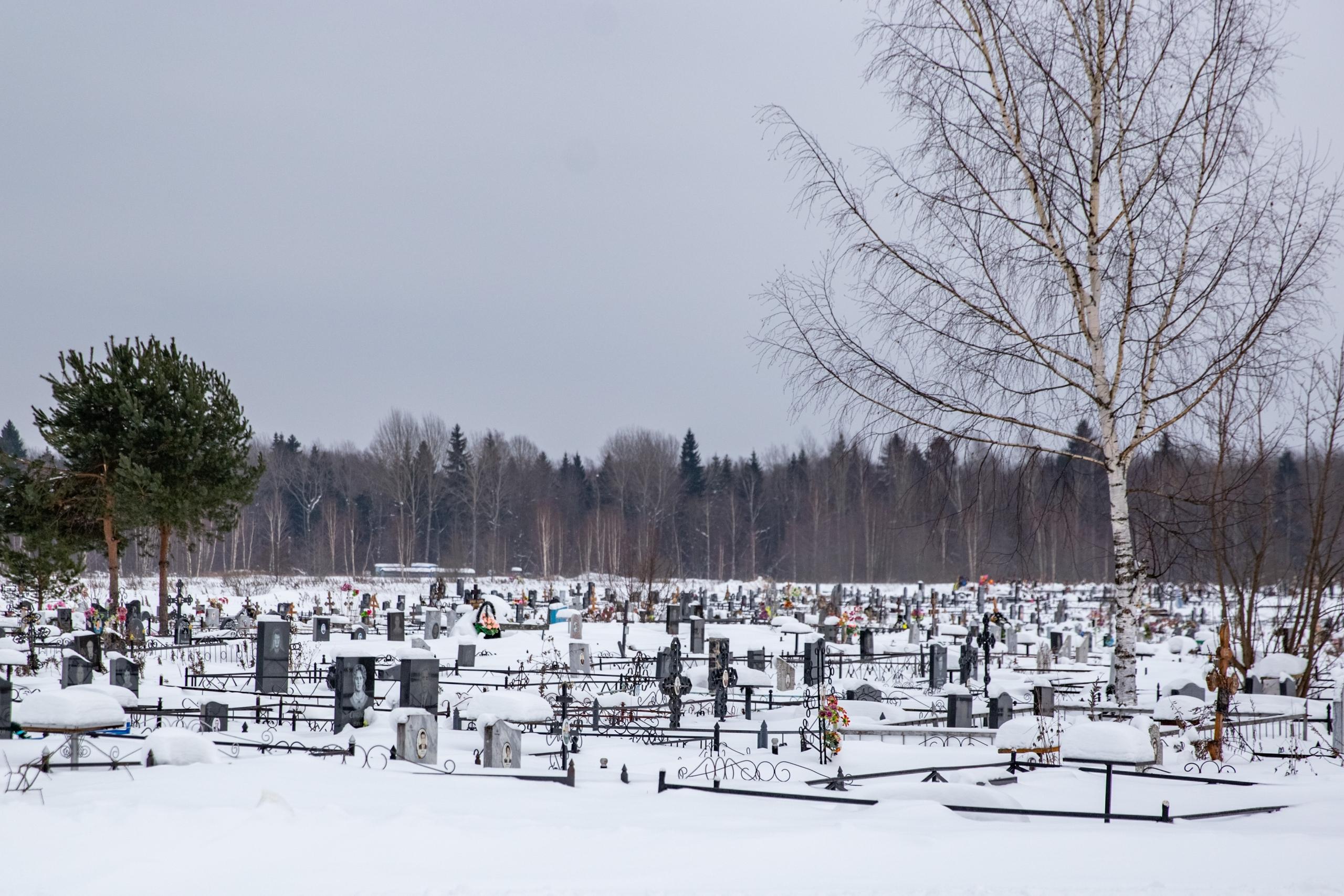 Участвовал полицейский: в Ярославской области вскрыли коррупционную схему передачи данных об умерших