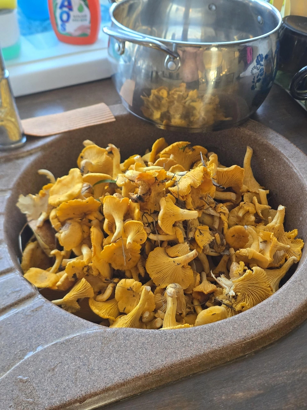 Источник: «Грибы и грибники Екатеринбурга и Свердловской области» / Vk.com