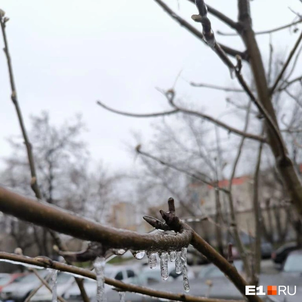 Источник: читатель E1.RU