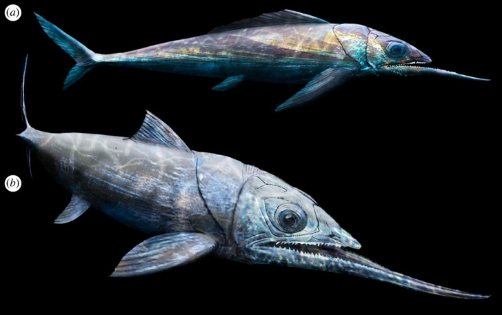 Рыба с другой планеты: зачем доисторическому существу такая длинная нижняя челюсть?