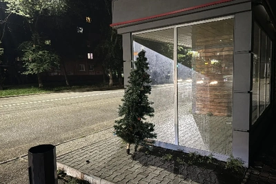 Новогодняя елка в августе удивила благовещенцев