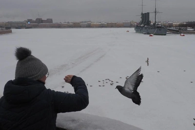 Cyclone brings frost and snow to Petersburg and Moscow