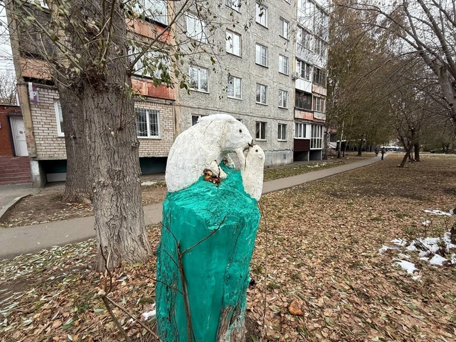 Местное искусство | Источник: Полина Шевчукова / NGS22.RU