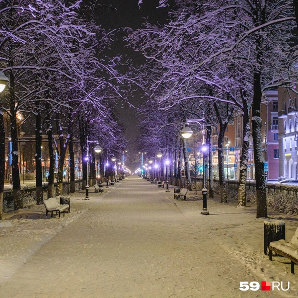 Настоящая зимняя сказка | Источник: Тимофей Калмаков / 59.RU