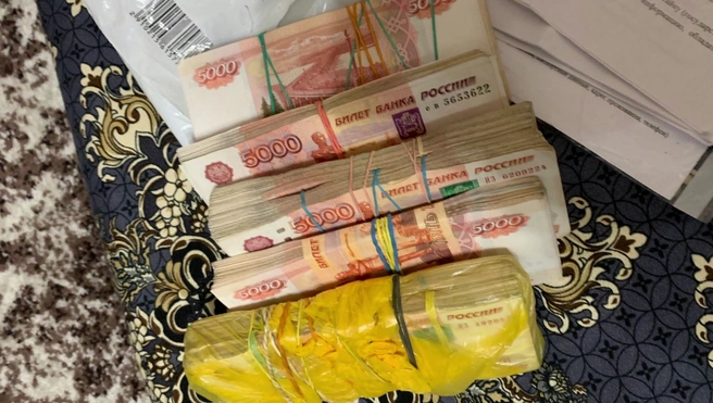 Полторы тысячи нелегалов привели петербургскую полицию к сотруднице миграционной службы | Источник: ГУ МВД по Петербургу и Ленобласти