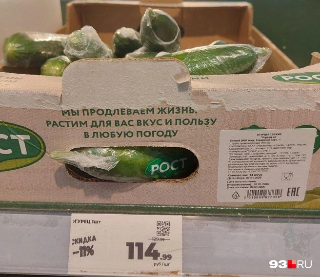 Огурцы поштучно | Источник: Екатерина Железнова / 93.RU