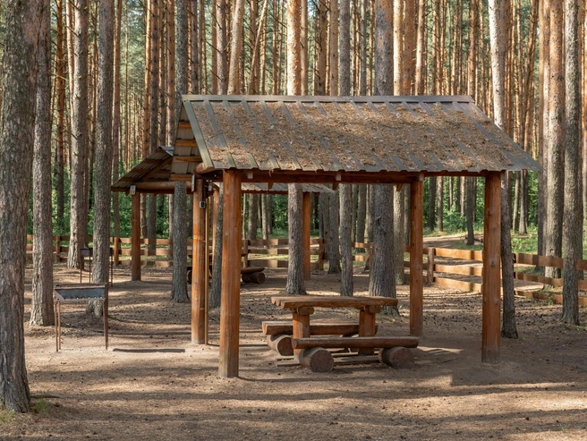 Беседка М: 1500 руб. за 3 часа (будни) с продлением 300 руб./час, в выходные 3000 руб. за 6 часов, продление 400 руб./час | Источник: Александр Куренной / 76.RU