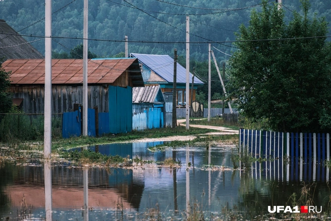 А вокруг красивая таежная природа | Источник: Булат Салихов / UFA1.RU