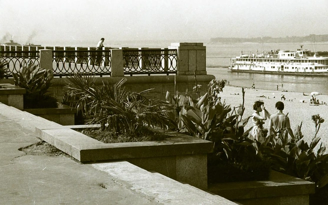 Рядом с пальмами&nbsp;— канны. Традиционные для этого спуска набережной цветы | Источник: фотофонд Самарского областного государственного архива социально-политической истории