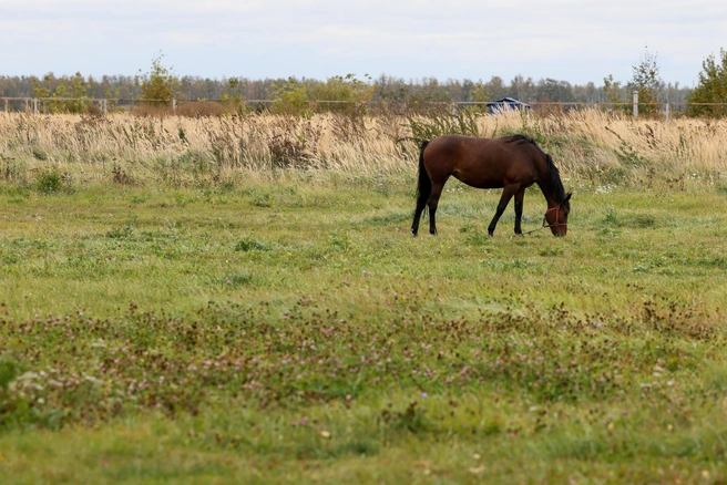 фото из архива | Источник: Артём Устюжанин / MSK1.RU