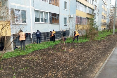 В Засвияжье проходит масштабная весенняя уборка
