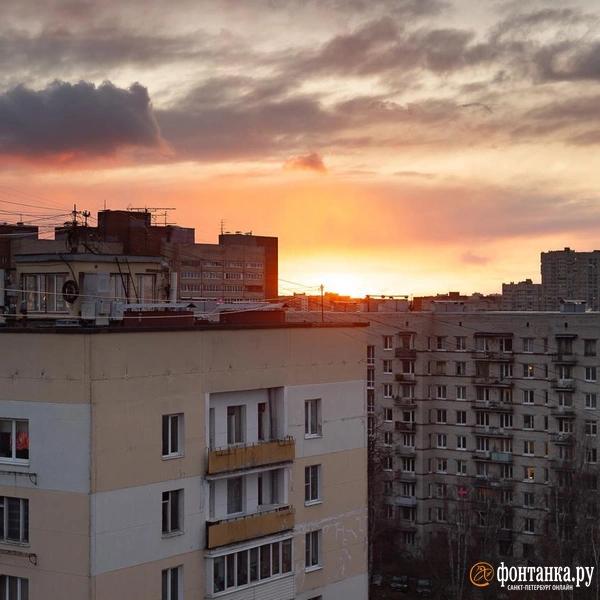 Закат с крыши панельки. Посмотрите, как в Петербурге заходило солнце | Источник: Сергей Николаев / «Фонтанка.ру»
