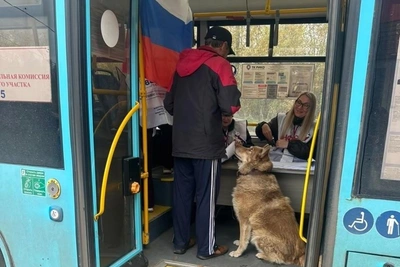 В Архангельске голосуют в автобусе на Маймаксе