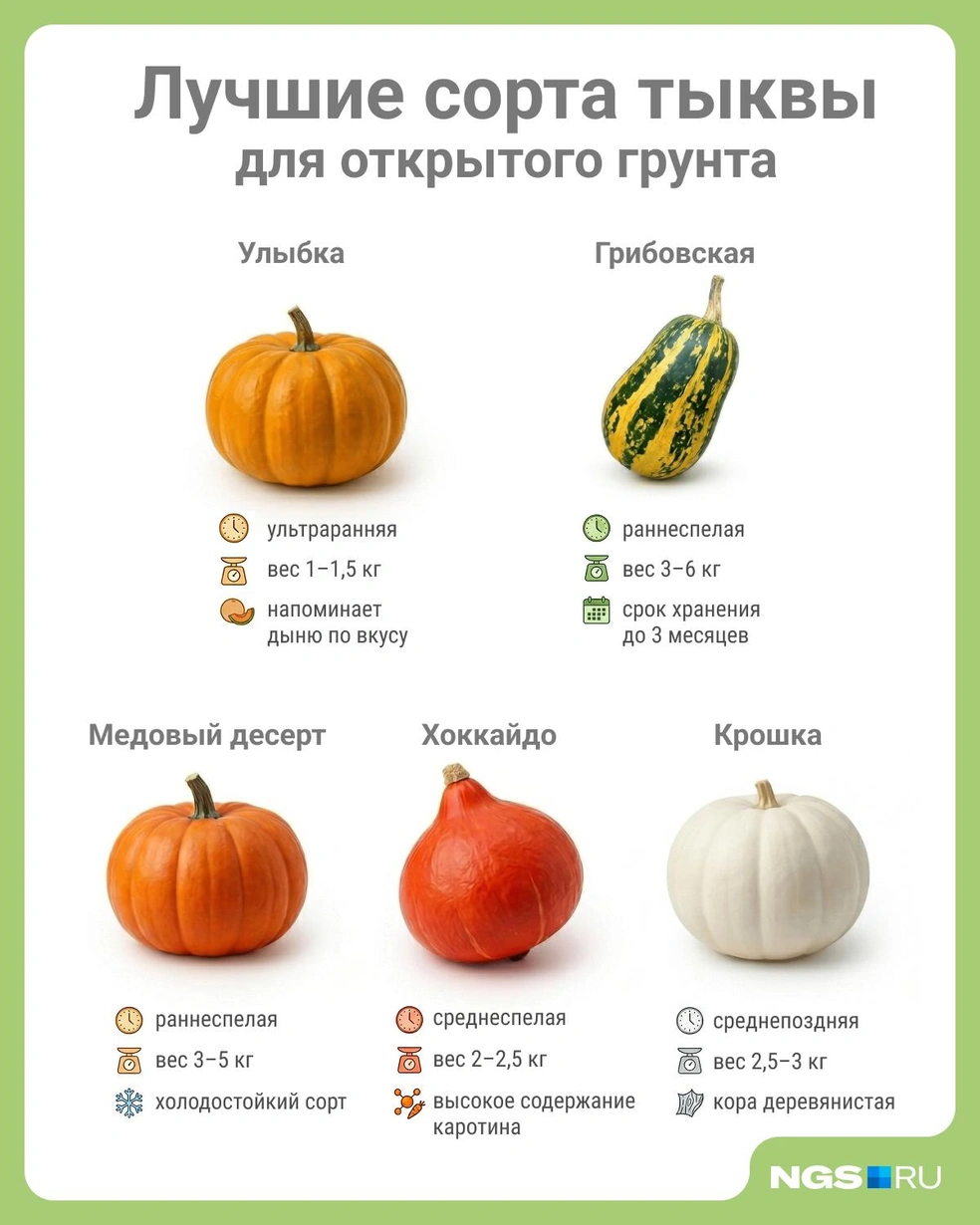 Источник: Юрий Орлов / Городские медиа