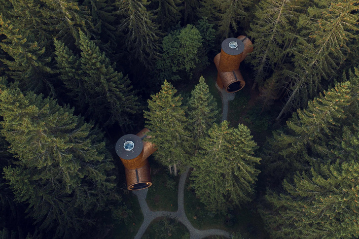Дома-деревья в австрийском лесу