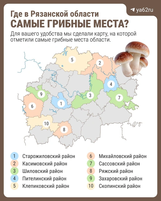 Карта самых грибных районов Рязанской области | Источник: Анастасия Суматохина и Максим Бутусов / Городские Медиа