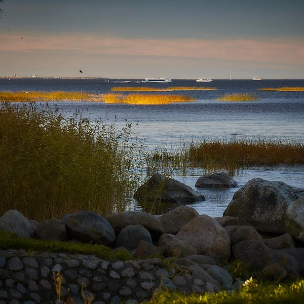 Источник: музей-заповедник «Петергоф»