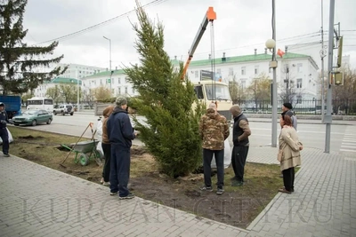 В Кургане этой весной появится более 1000 деревьев