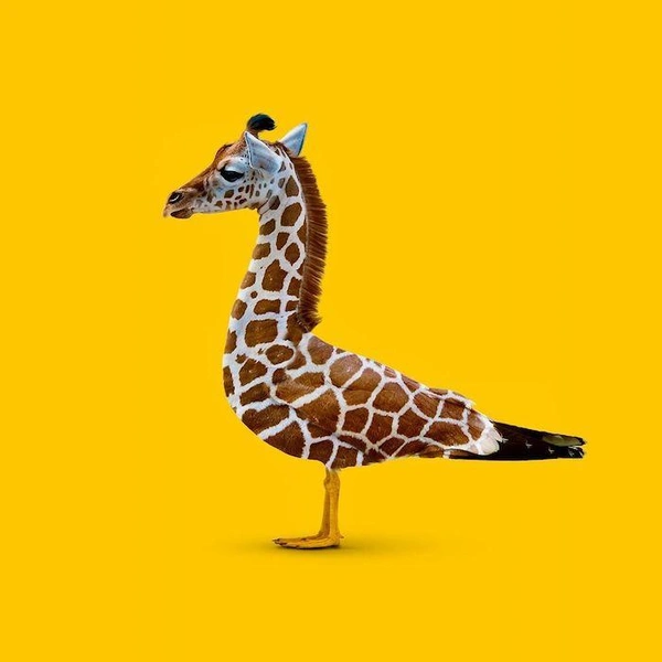 Источник: Les Créatonautes via creapills.com