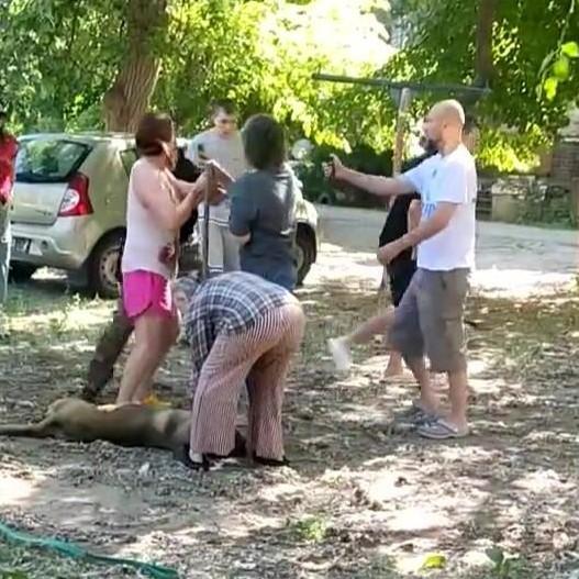 <p>Антон</p>