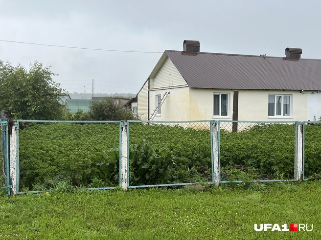 Большой урожай намечается | Источник: Андрей Бирюков / UFA1.RU