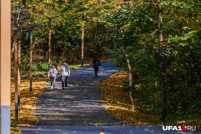 Южный ветер подул: сколько еще продлится потепление в Башкирии | Источник: Булат Салихов / UFA1.RU