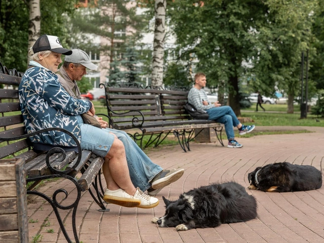 Вокруг фонтана установлено много скамеек | Источник: Александр Куренной / 76.RU