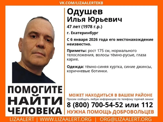 Источник: поисковый отряд «ЛизаАлерт»