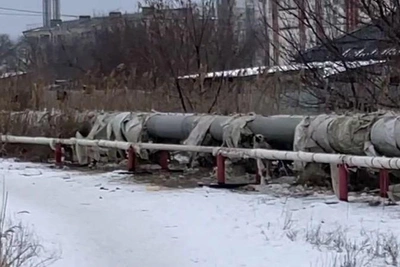 Stray Dogs Attack Man in Volgograd Microdistrict