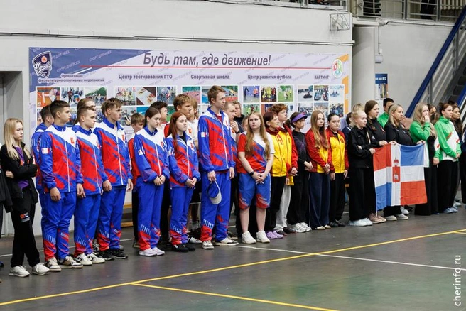 Источник: st.cherinfo.ru