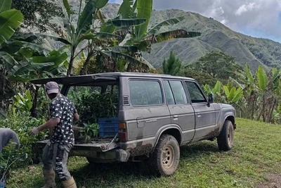 Entrepreneur warns Venezuelan cocoa varieties may vanish with hybrids