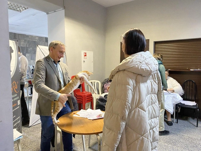 Ориентальные кошки, как им и положено, активно подавали голос | Источник: Ирина Господаренко / NGS22.RU