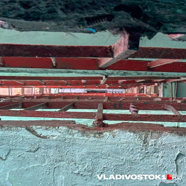 Источник: Елена Буйвол / VLADIVOSTOK1.RU