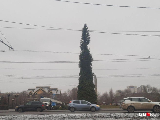 Источник: Анастасия Баринова / 56.RU