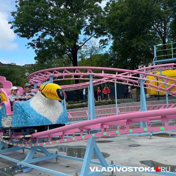 Источник: Елена Буйвол / VLADIVOSTOK1.RU