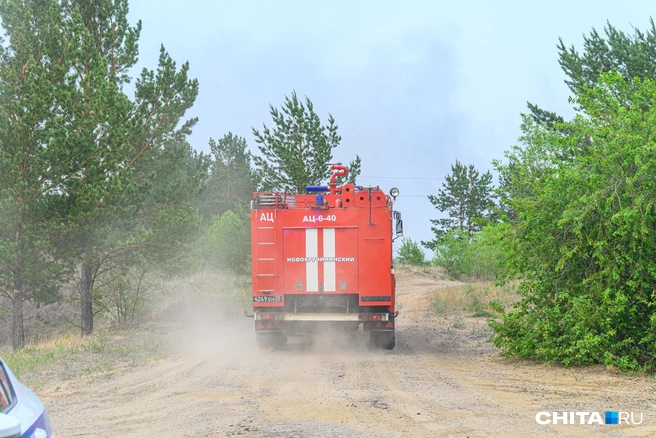 Предполагается, что арендаторы должны помогать пожарным и техникой | Источник: Олег Фёдоров / CHITA.RU