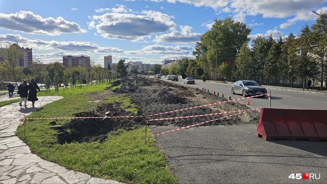 Источник: Дарья Никитченко / 45.RU