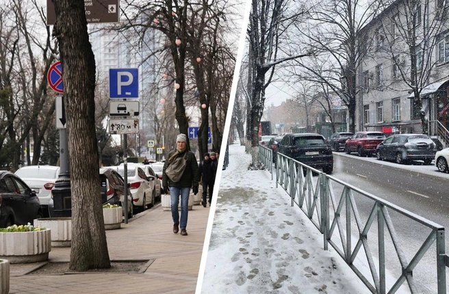 Контрасты весны в Краснодаре. На 1 фото — начало марта 2024 года, на 2 фото — начало марта 2025 года | Источник: Дарья Паращенко; Екатерина Железнова / 93.RU