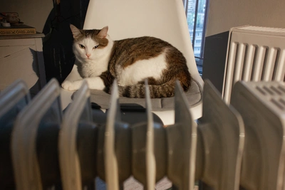 В Чите тепло в домах вернут к обеду