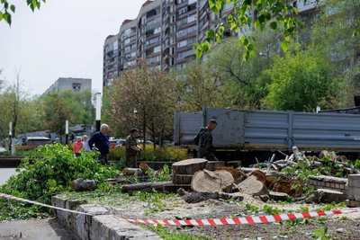 В Тюмени срубили деревья у Драмтеатра и Муравейника