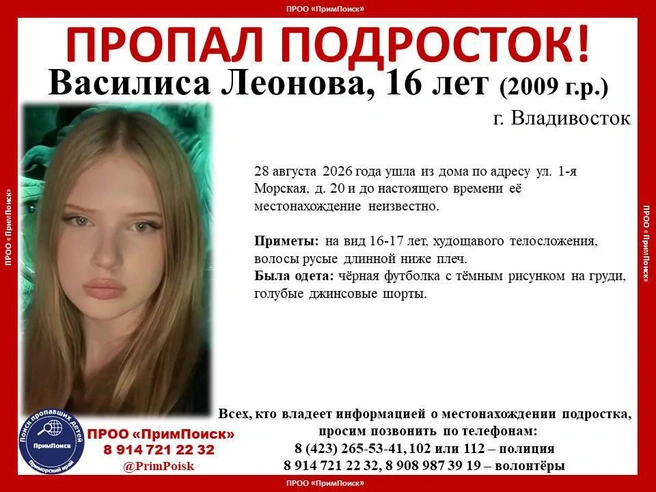 Источник: «ПримПоиск» / Telegram