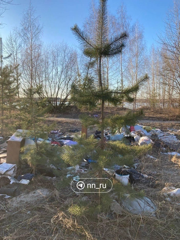 Источник: читательница NN.RU