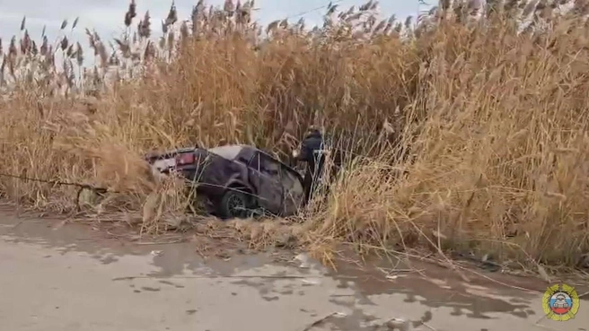 Источник: Госавтоинспекция Волгоградской области