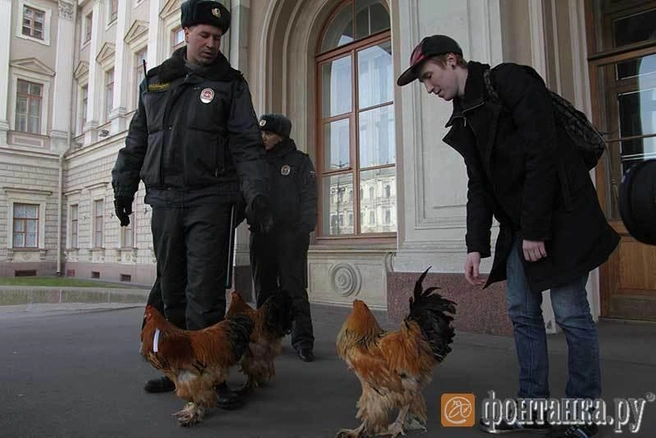 Источник: Илья Трусов