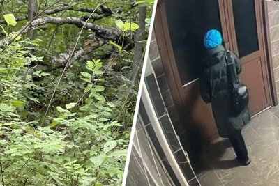 Пропавшая в январе студентка найдена мертвой в лесу Ветлужанки