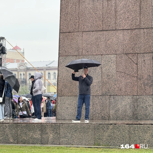 Источник: Сергей Петунин / 164.RU