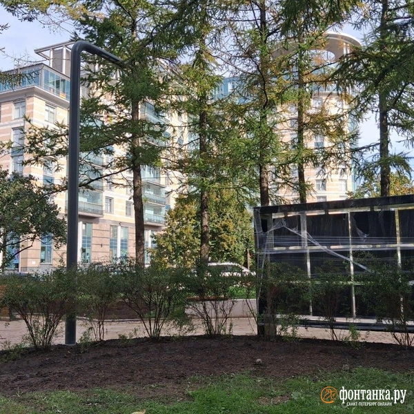 Сквер Пироцкого | Источник: Анна Мотовилова / FONTANKA.RU