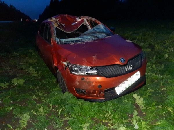 Страшное ДТП попало на видео: на «Нарве» легковушка сбила лося (фото) | Источник: «ДТП и ЧП Санкт-Петербург»/vk.com