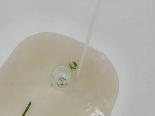 Каждый день у жителей вода с примесями | Источник: Климов / T.me